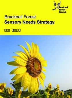 Bracknell Forest Sensory Needs Strategy 2016-2021 - Bracknell Forest Council