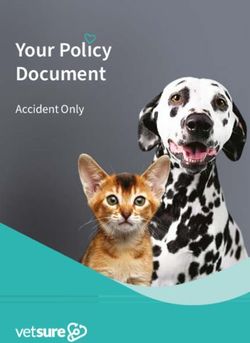 YOUR POLICY DOCUMENT ACCIDENT ONLY - VETSURE