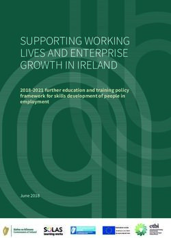 SUPPORTING WORKING LIVES AND ENTERPRISE GROWTH IN IRELAND - 2018-2021 further education and training policy framework for skills development of ...