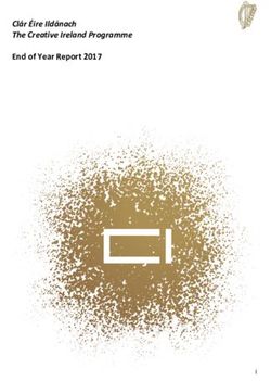Clár Éire Ildánach The Creative Ireland Programme End of Year Report 2017