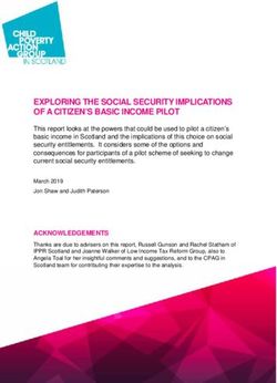 EXPLORING THE SOCIAL SECURITY IMPLICATIONS OF A CITIZEN'S BASIC INCOME PILOT