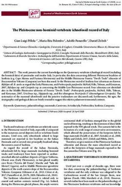 The Pleistocene non-hominid vertebrate ichnofossil record of Italy