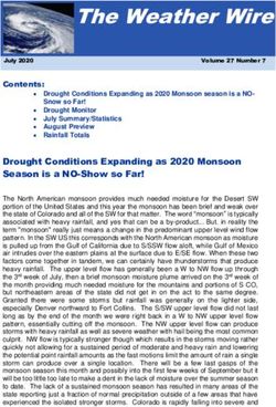 The Weather Wire - Skyview Weather