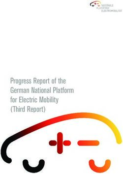 Progress Report of the German National Platform for Electric Mobility (Third Report)