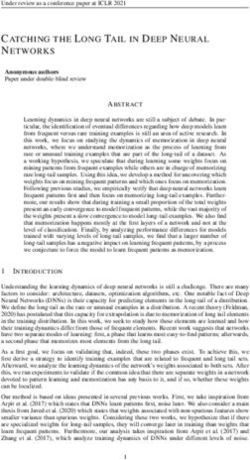 CATCHING THE LONG TAIL IN DEEP NEURAL NETWORKS - OpenReview