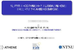 Travel Documents and Morphing Attacks on Face Recognition Systems