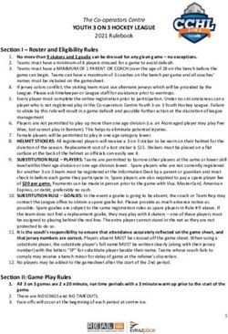 YOUTH 3 ON 3 HOCKEY LEAGUE