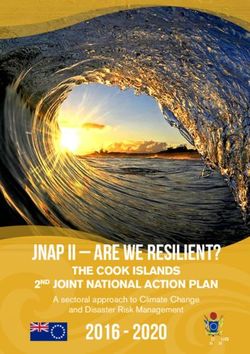JNAP II - ARE WE RESILIENT? 2016 - 2020 THE COOK ISLANDS 2ND JOINT NATIONAL ACTION PLAN