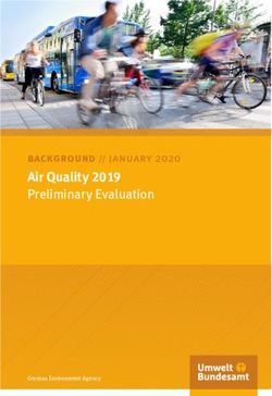 Air Quality 2019 Preliminary Evaluation - Umweltbundesamt