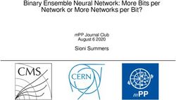 Binary Ensemble Neural Network: More Bits per Network or More Networks per Bit? - Sioni Summers - CERN Indico
