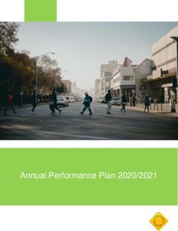 Annual Performance Plan 2020/2021 - AWS
