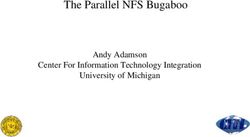The Parallel NFS Bugaboo - Andy Adamson Center For Information Technology Integration University of Michigan