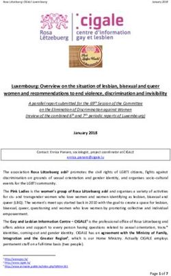 Luxembourg: Overview on the situation of lesbian, bisexual and queer women and recommendations to end violence, discrimination and invisibility