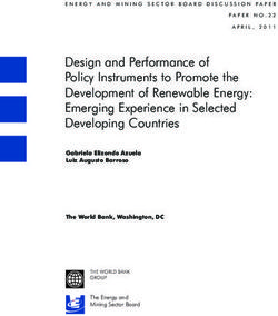 Design and Performance of Policy Instruments to Promote the Development of Renewable Energy: Emerging Experience in Selected Developing Countries