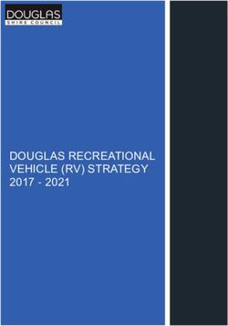 DOUGLAS RECREATIONAL VEHICLE (RV) STRATEGY 2017 2021