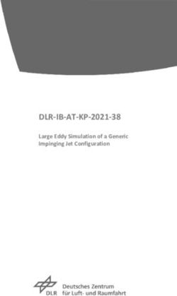 DLR-IB-AT-KP-2021-38 Large Eddy Simulation of a Generic Impinging Jet Configuration