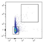 Robust T-Cell Responses in Anti-CD20-Treated Patients Following COVID-19 Vaccination: A Prospective Cohort Study