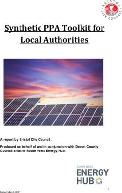 Synthetic PPA Toolkit for Local Authorities - A report by Bristol City Council. Produced on behalf of and in conjunction with Devon County Council ...