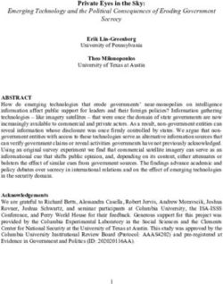 Private Eyes in the Sky: Erik Lin-Greenberg