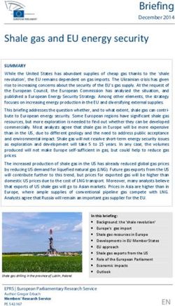 Shale gas and EU energy security