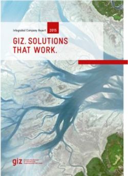 GIZ. SolutIonS that work 2015
