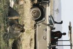 The Supreme Safari & Rhino Tracking Experience - Saruni