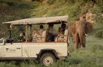 The Supreme Safari & Rhino Tracking Experience - Saruni