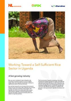 Working Toward a Self-Sufficient Rice Sector in Uganda - IFDC
