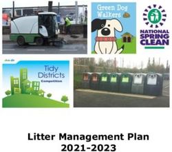 Litter Management Plan 2021-2023 - Dún Laoghaire ...