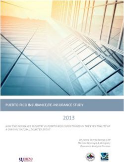 2013 PUERTO RICO INSURANCE/RE-INSURANCE STUDY