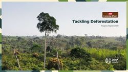 Tackling Deforestation - Progress Report 2020 - Nestlé Cocoa Plan
