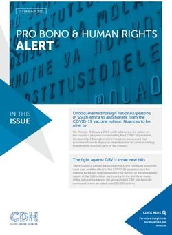ALERT PRO BONO & HUMAN RIGHTS - Cliffe Dekker Hofmeyr