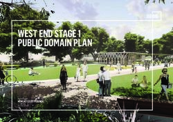 WEST END STAGE 1 PUBLIC DOMAIN PLAN - NEWCASTLE CITY COUNCIL PREPARED FOR - City of Newcastle