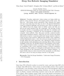 Deep Sea Robotic Imaging Simulator