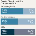 Board Diversity Disclosure Examples - Council for Board ...