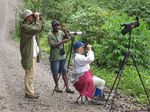 Papua New Guinea: Bucket List Birding - Naturalist Journeys