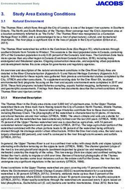 Study Area Existing Conditions - Natural Environment