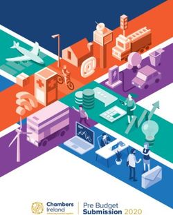 Pre Budget Submission 2020 - Chambers Ireland