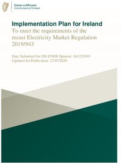 Implementation Plan for Ireland - To meet the requirements of the recast Electricity Market Regulation 2019/943 Date Submitted for DG ENER ...