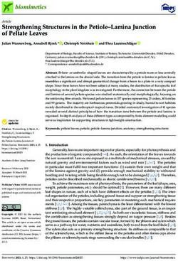 Strengthening Structures in the Petiole-Lamina Junction of Peltate Leaves - MDPI