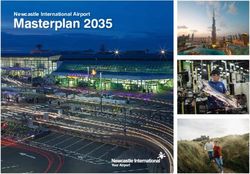 Masterplan 2035 Newcastle International Airport - Newcastle Airport