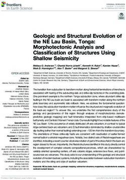 Geologic and Structural Evolution of the NE Lau Basin, Tonga: Morphotectonic Analysis and Classification of Structures Using Shallow Seismicity