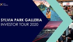 SYLVIA PARK GALLERIA INVESTOR TOUR 2020 - HotCopper