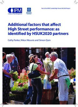 Additional factors that affect High Street performance: as identified by HSUK2020 partners - Cathy Parker, Nikos Ntounis and Simon Quin ...
