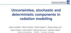 Uncertainties, stochastic and deterministic components in radiation modelling - COSMO model