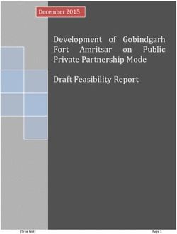 Development of Gobindgarh Fort Amritsar on Public Private Partnership Mode Draft Feasibility Report - PIDB