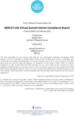 2020 G7 USA Virtual Summit Interim Compliance Report - G7 Information Centre
