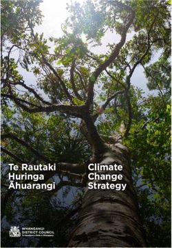 Te Rautaki Huringa Āhuarangi Climate Change Strategy