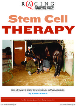 THERAPY Stem Cell - Stem cell therapy is helping horses with tendon and ligament injuries.