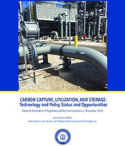 CARBON CAPTURE, UTILIZATION, AND STORAGE